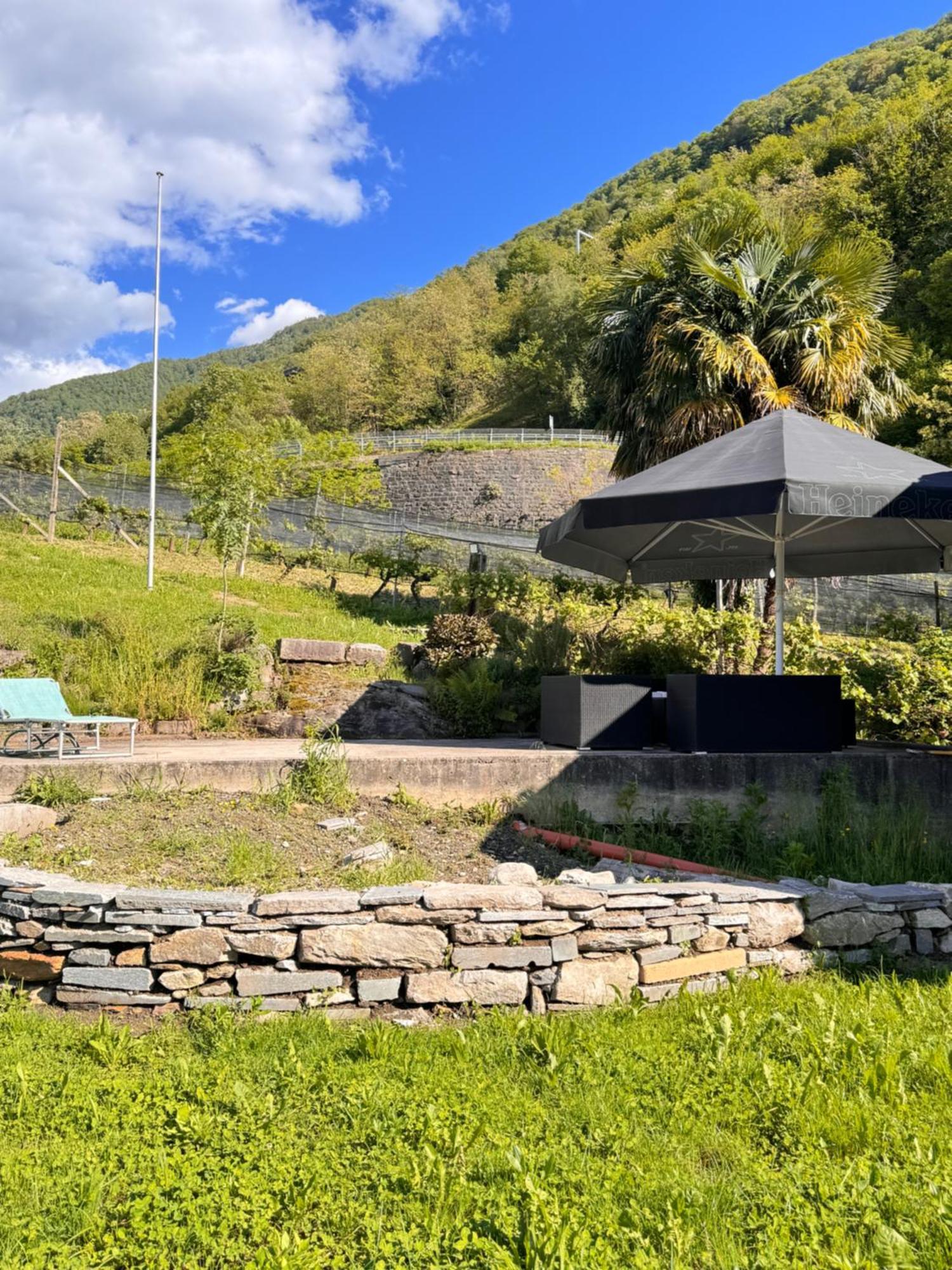 Viva Bacco Acomodação com café da manhã Gambarogno Exterior foto