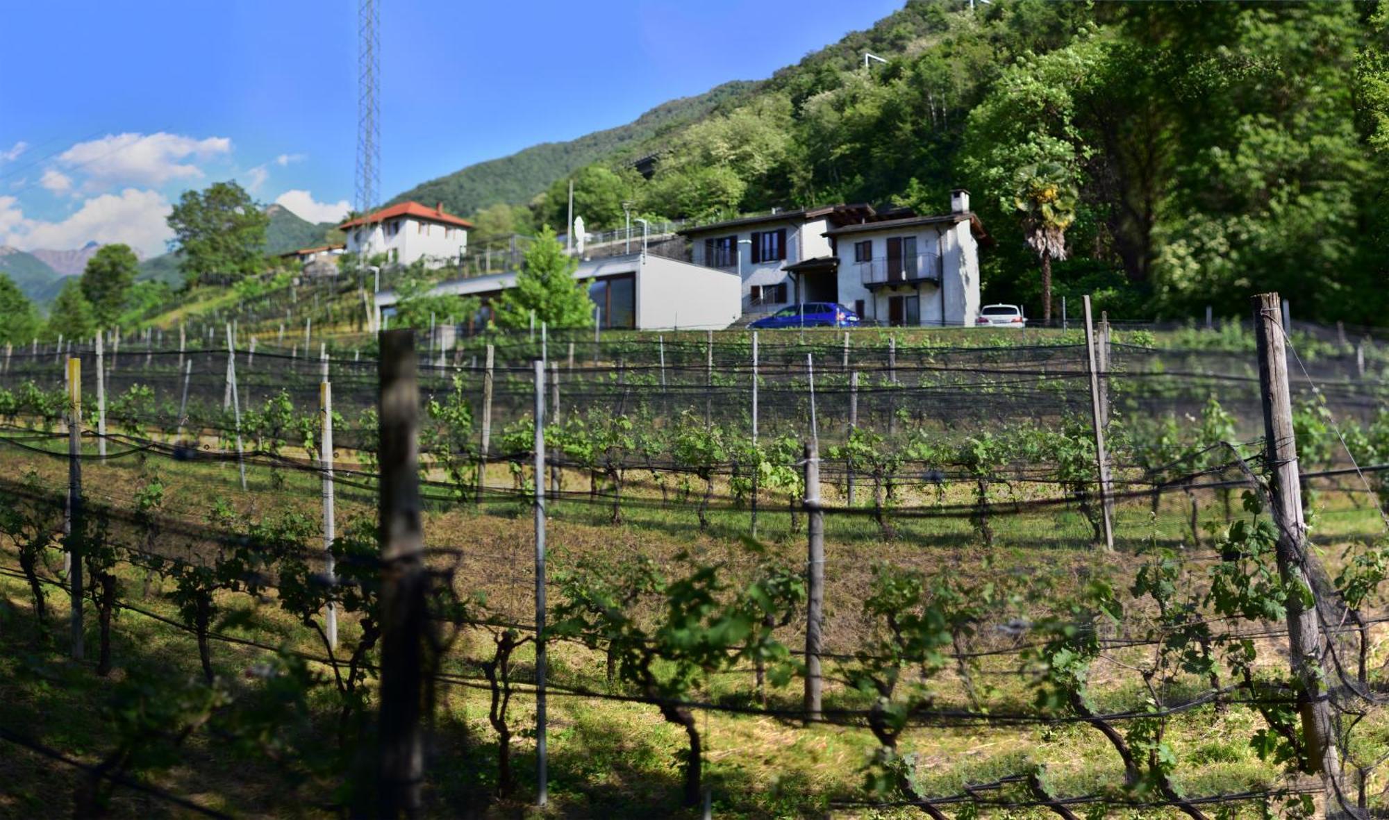 Viva Bacco Acomodação com café da manhã Gambarogno Exterior foto