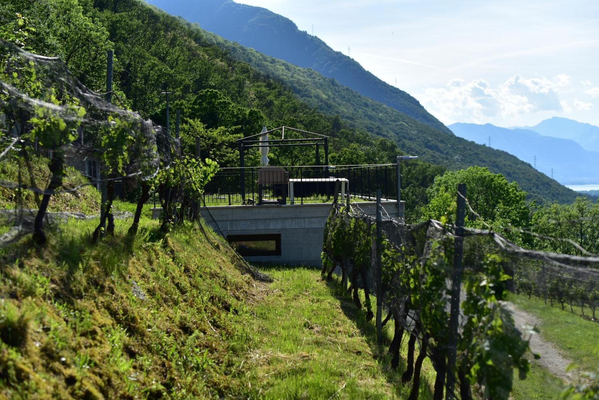 Viva Bacco Acomodação com café da manhã Gambarogno Exterior foto