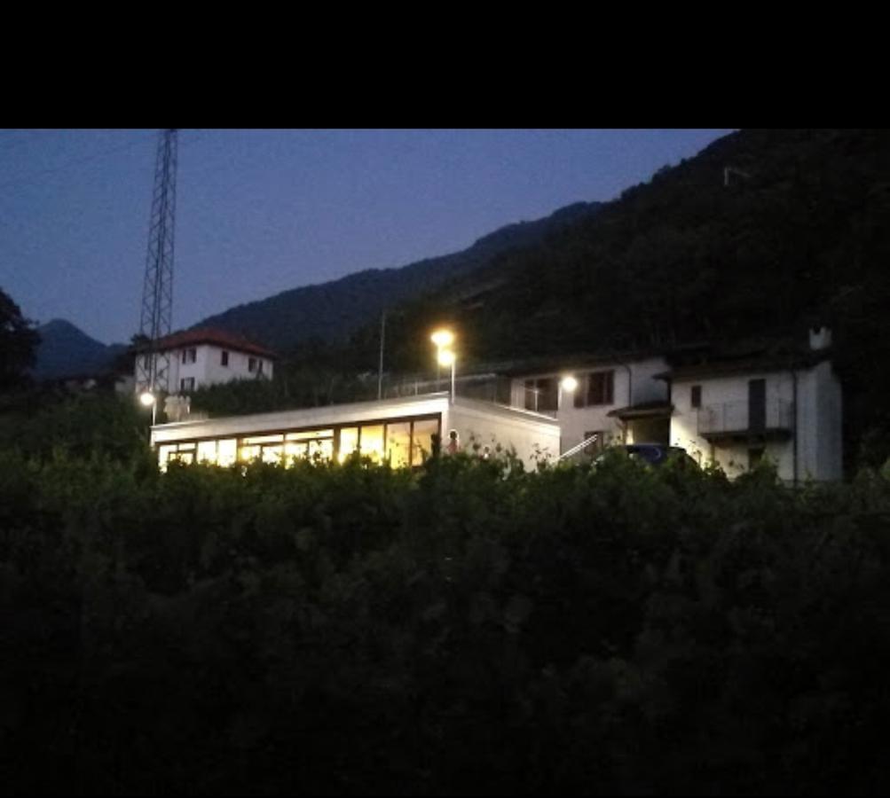 Viva Bacco Acomodação com café da manhã Gambarogno Exterior foto